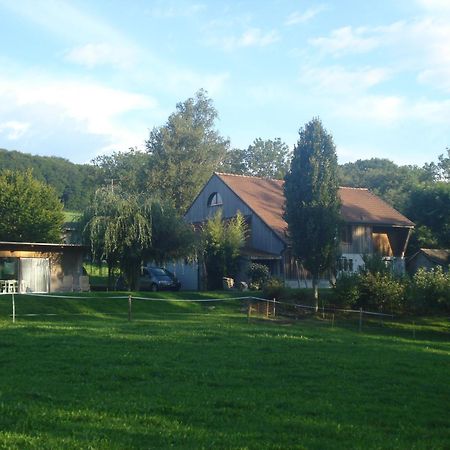 帕维永派西布勒住宿加早餐旅馆 Orsonnens 外观 照片